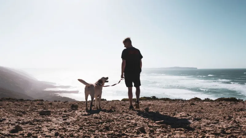 Perros para Viajeros: Las Mejores Razas de Perro para Acompañarte en tus Aventuras