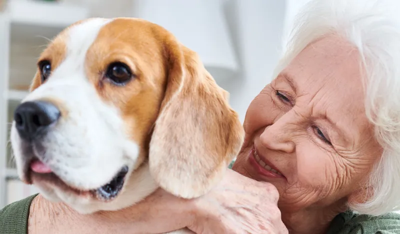 Los Mejores Perros para Personalidades Introvertidas: Compañeros Leales para un Estilo de Vida Tranquilo