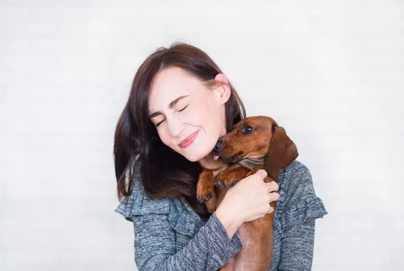 La Salud de los Perros Adultos: Cómo Mantener a tu Perro en su Mejor Momento