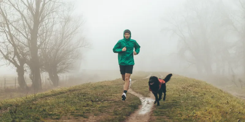 Los Mejores Deportes para Perros de Razas Medianas: Cómo Encontrar el Deporte Adecuado para tu Perro