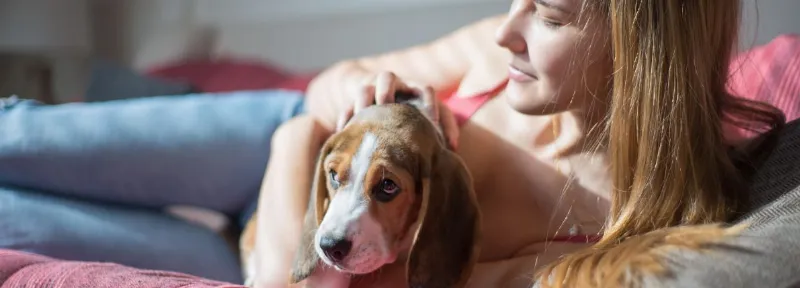 La Legalidad de los Perros en los Apartamentos: Cómo Cumplir con las Normas Legales de Tenencia de Perros