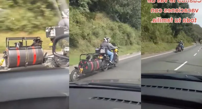 Los Mejores Consejos para Viajar con tu Perro en Moto: Cómo Disfrutar de un Paseo en Carretera